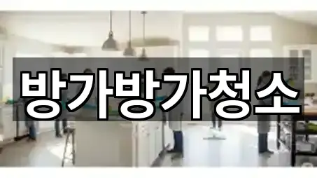 방가방가청소