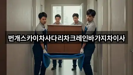 번개스카이차사다리차크레인바가지차이사