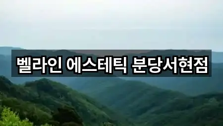 벨라인 에스테틱 분당서현점