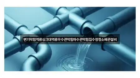 변기막힘역류싱크대역류우수관막힘하수관막힘집수정청소배관설비
