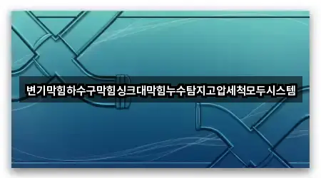 변기막힘하수구막힘싱크대막힘누수탐지고압세척모두시스템