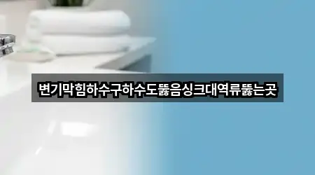 변기막힘하수구하수도뚫음싱크대역류뚫는곳