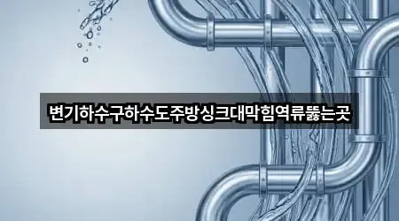 변기하수구하수도주방싱크대막힘역류뚫는곳