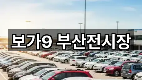 부산 금정구 자동차전시장 5곳 한눈에 보기