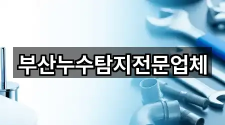 부산누수탐지전문업체