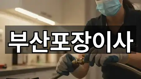 부산광역시 구포동 포장이사 가격 문의 5곳