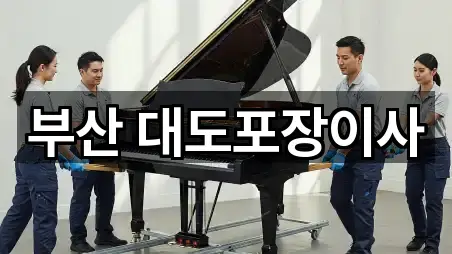 부산 망미동 이사 5곳 전체 리스트