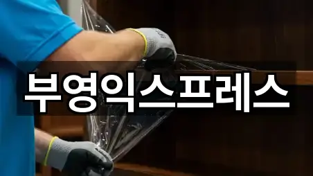 강원 속초 조양동 포장이사 핵심 정보 5곳