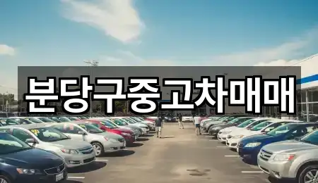 경기도 정자동 중고차 어떻게 고를까? 5곳