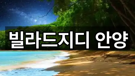 경기도 안양시 동안구 비산동 예식장 4곳 위치 체크