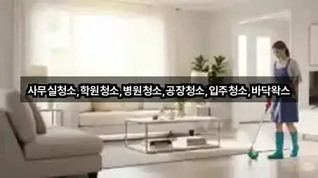 충청북도 평동 사무실청소 사진/정보 2건