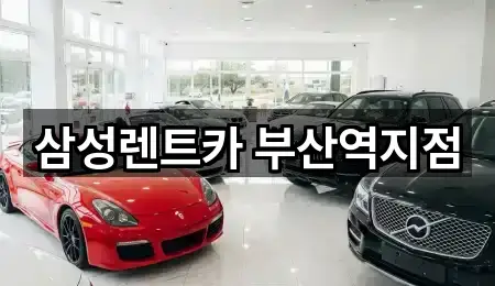 부산 수정동 렌트카 5곳 지도 빠른접속