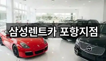 경상북도 인덕동 렌트카 어디가 좋을까? 3곳