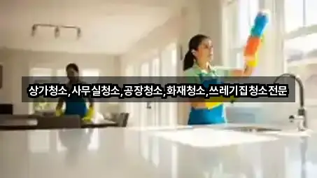 경북 구미시 장천면 상가청소 상세 정보 3건