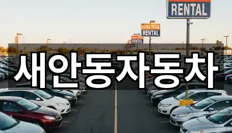 안동 중고차 5곳 지도