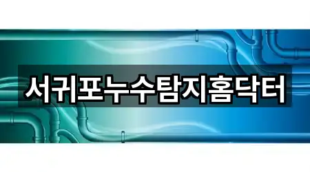 빠른정리 | 제주특별자치도 서귀포시 강정동 누수 탐지 4곳