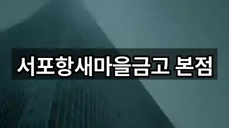 서포항새마을금고 본점