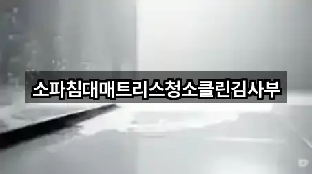 소파침대매트리스청소클린김사부