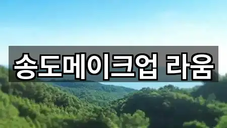 송도메이크업 라움