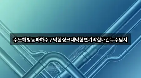수도해빙동파하수구막힘싱크대막힘변기막힘배관누수탐지