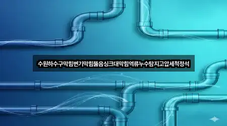 수원하수구막힘변기막힘뚫음싱크대막힘역류누수탐지고압세척정석