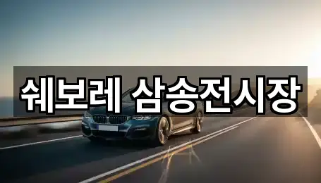 쉐보레 삼송전시장