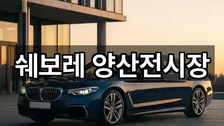 콜 한 번에: 경상남도 양산 교동 자동차전시장 1곳