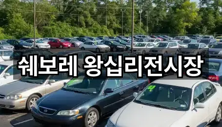 쉐보레 왕십리전시장