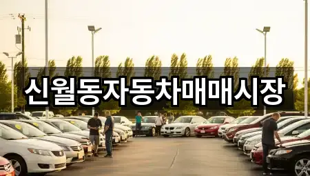 서울특별시 신월동 중고차 필수 정보 5곳