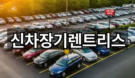 대구광역시 중구 봉산동장기렌트카 3곳 지번 주소