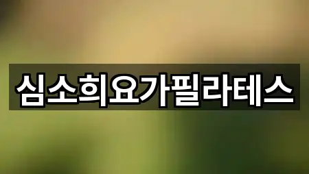 심소희요가필라테스