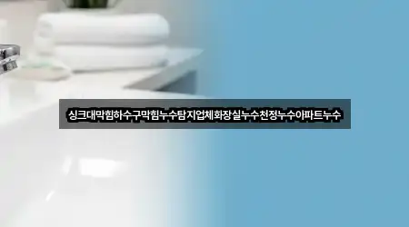 싱크대막힘하수구막힘누수탐지업체화장실누수천정누수아파트누수