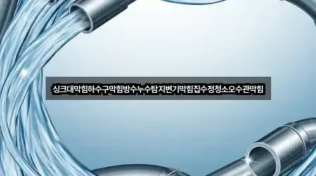 싱크대막힘하수구막힘방수누수탐지변기막힘집수정청소오수관막힘