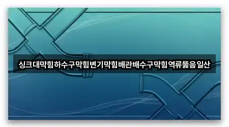 싱크대막힘하수구막힘변기막힘배관배수구막힘역류뚫음일산