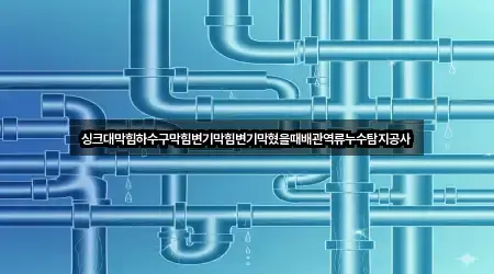 업데이트됨: 경기도 고양시 덕양구 강매동 누수탐지 5곳