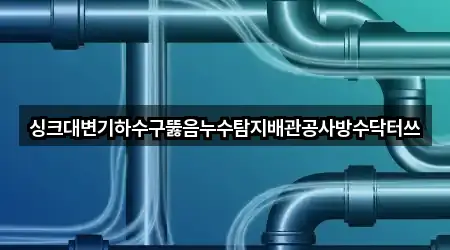 싱크대변기하수구뚫음누수탐지배관공사방수닥터쓰