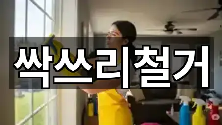 업데이트됨: 창원 진해구 덕산동 청소업체 5곳