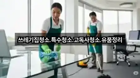 빠르게 연결: 경상북도 금강송면청소업체 5곳