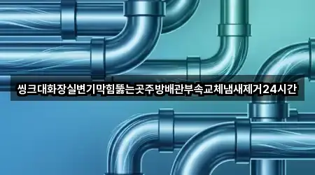 씽크대화장실변기막힘뚫는곳주방배관부속교체냄새제거24시간