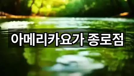 아메리카요가 종로점