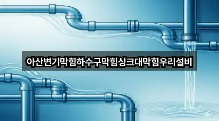 아산변기막힘하수구막힘싱크대막힘우리설비