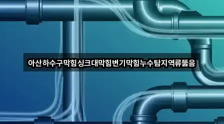 아산하수구막힘싱크대막힘변기막힘누수탐지역류뚫음