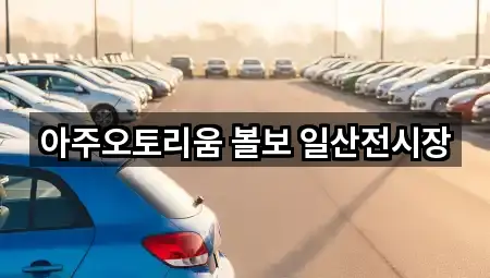일산동구 산황동 자동차전시장 빠른 비교 5곳