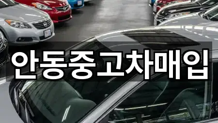 안동중고차매입