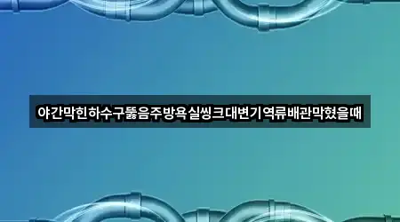 야간막힌하수구뚫음주방욕실씽크대변기역류배관막혔을때