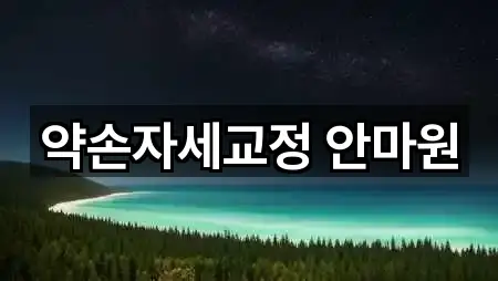 약손자세교정 안마원