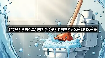 양주변기막힘싱크대막힘하수구막힘배관역류뚫는업체뚫는곳