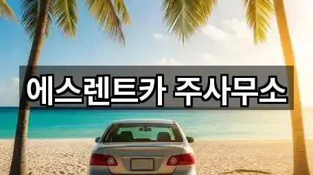 에스렌트카 주사무소