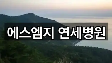 에스엠지 연세병원