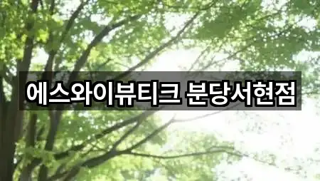 에스와이뷰티크 분당서현점